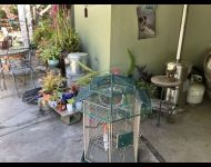 IMG 4051